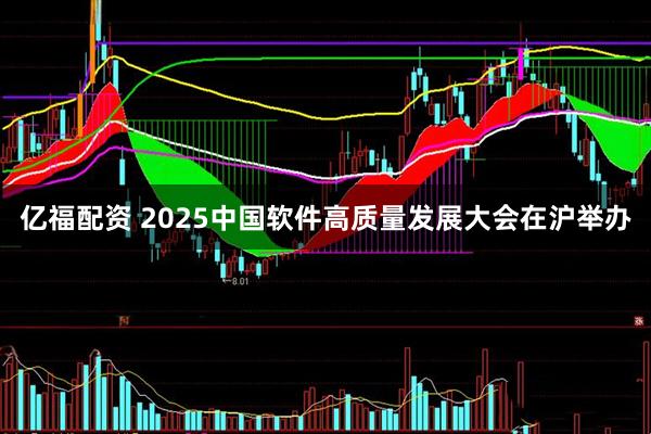 亿福配资 2025中国软件高质量发展大会在沪举办